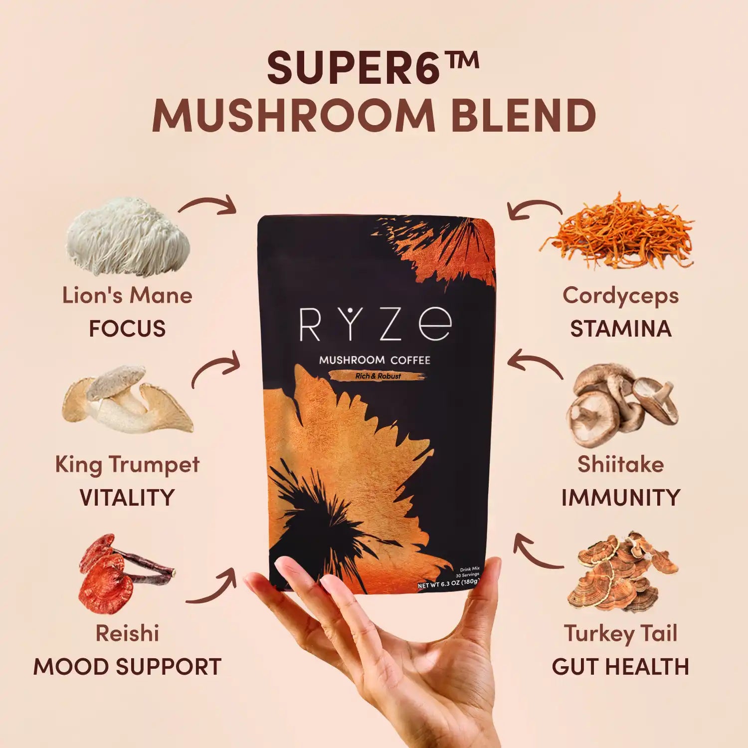 Dark Roast Starter Kit - V5DJE